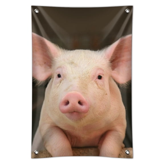 Little Pig Piggy Home Business Office Sign