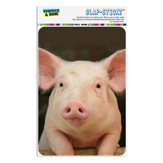 Little Pig Piggy Home Business Office Sign