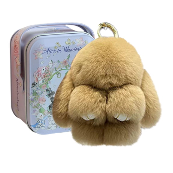 Little Pocket Bunny Decorative Boxes, Easter Basket Stuffer, Easter Gifts for Kids, DIY Pet Bunny Adoption, Easters Baskets Decorative Boxes,Rabbit Plush Toy in a Tin: Miniature Bed Set(Khaki)