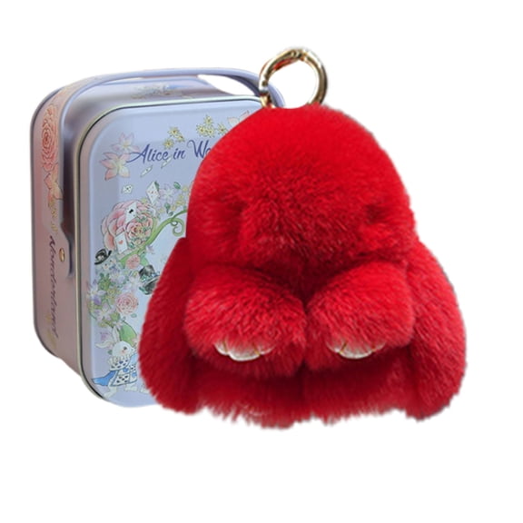 Little Pocket Bunny Decorative Boxes, Easter Basket Stuffer, Easter Gifts for Kids, DIY Pet Bunny Adoption, Easters Baskets Decorative Boxes,Rabbit Plush Toy in a Tin: Miniature Bed Set(Red)