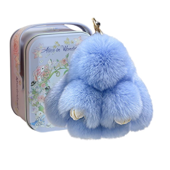 Little Pocket Bunny Decorative Boxes, Easter Basket Stuffer, Easter Gifts for Kids, DIY Pet Bunny Adoption, Easters Baskets Decorative Boxes,Rabbit Plush Toy in a Tin: Miniature Bed Set(Blue)