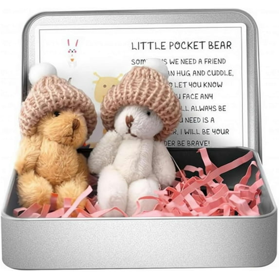 Little Pocket Worry Bear in Box with a Hat, Adorable Mini Emotional Plush Positive Support Bears with Encouraging Card Cute Inspirational Gifts for Office Desk Decor & Birthday Party Favor