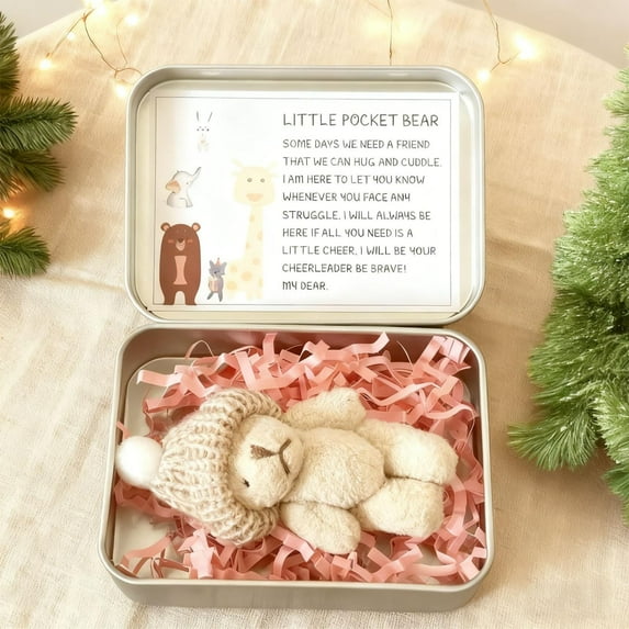 Little Pocket Worry Bear in Box with a Hat, Adorable Mini Emotional Plush Positive Support Bears with Encouraging Card Cute Inspirational Gifts for Office Desk Decor & Birthday Party Favor