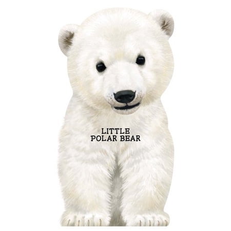 Pre-Owned Little Polar Bear (Paperback) 0764163256 9780764163258