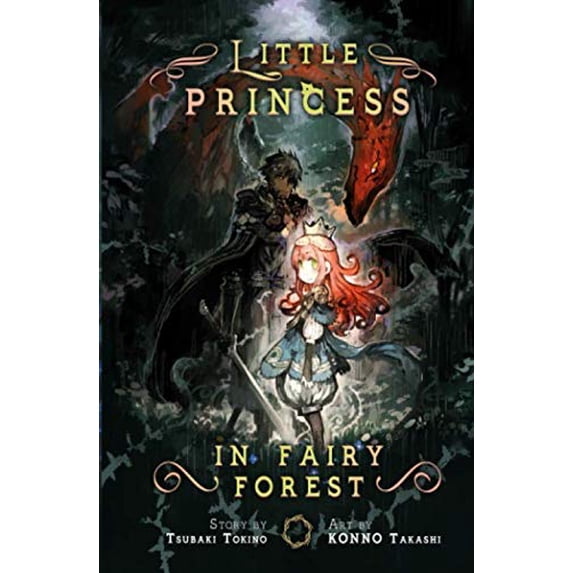 Pre-Owned Little Princess in Fairy Forest Paperback