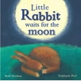 thumbnail image 1 of Pre-Owned Little Rabbit (Hardcover) 1445407965 9781445407968, 1 of 1