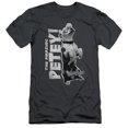 thumbnail image 1 of Little Rascals - Amazing Petey - Slim Fit Short Sleeve Shirt - XX-Large, 1 of 2