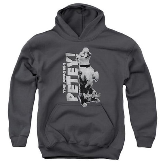 Little Rascals-Amazing Petey - Youth Pull-Over Hoodie - Charcoal- Large