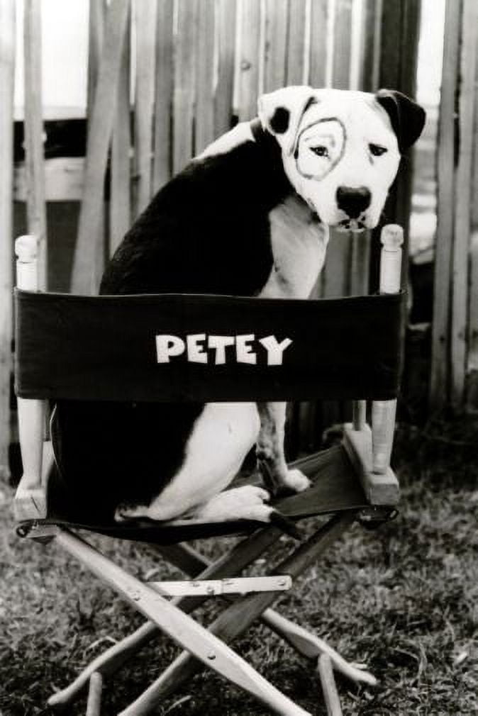 Little Rascals Petey Poster Metal Sign 8Inx 12In Print On Metal 8x12 ...