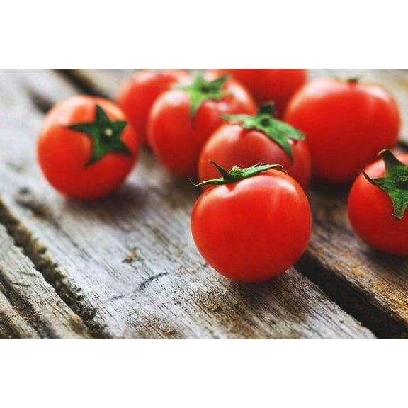 Sherwood's Seeds Red Micro Dwarf Tomato Plant Seeds, Heirloom
