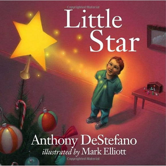Pre-Owned Little Star Paperback
