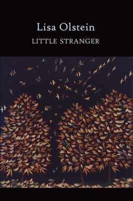 Pre-Owned Little Stranger (Paperback) 1556594321 9781556594328