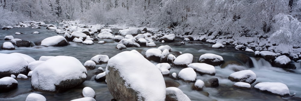 Little Susitna River Southcentral Ak Winter Scenic Canvas Art - Michael DeYoung Design Pics (24 x 8)