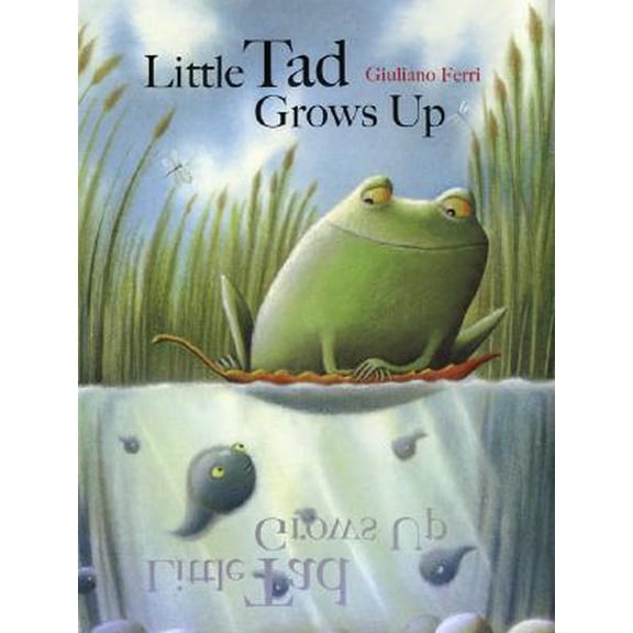 Pre-Owned Little Tad Grows Up
