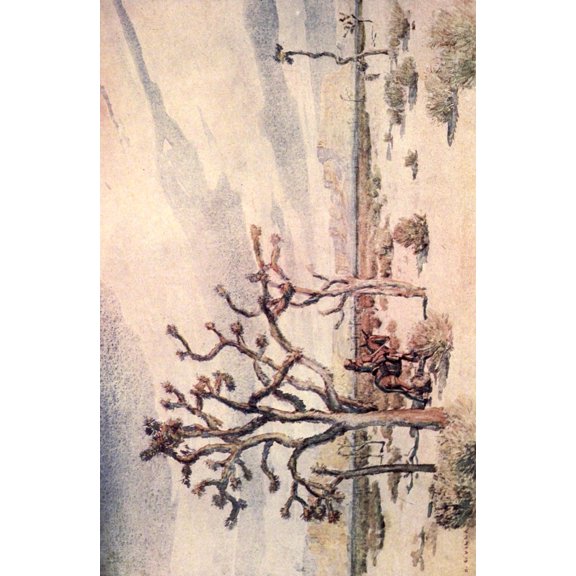Little Tales of the Desert 1913 Joshua trees Canvas Art - Hernando G Villa (18 x 24)