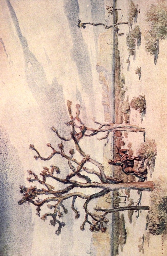 Little Tales of the Desert 1913 Joshua trees Canvas Art - Hernando G Villa (24 x 36)