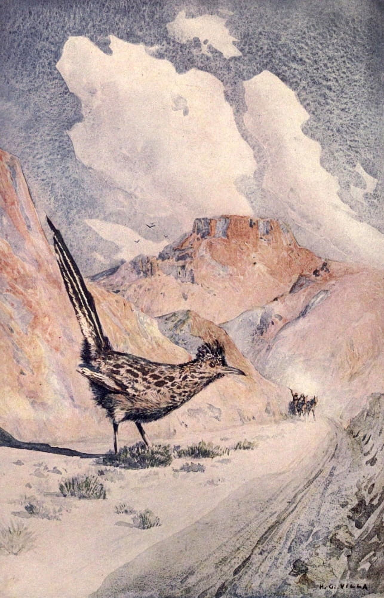 Little Tales of the Desert 1913 The Road-runner Canvas Art - Hernando G Villa (18 x 24)