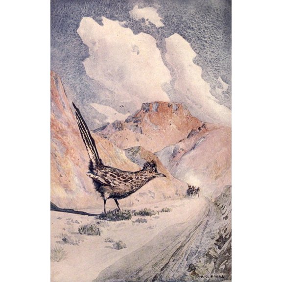 Little Tales of the Desert 1913 The Road-runner Canvas Art - Hernando G Villa (24 x 36)