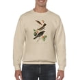 thumbnail image 1 of Little Tawny Thrush. Sweatshirt Men -John James Audubon Designs, Male 5X-Large, 1 of 4