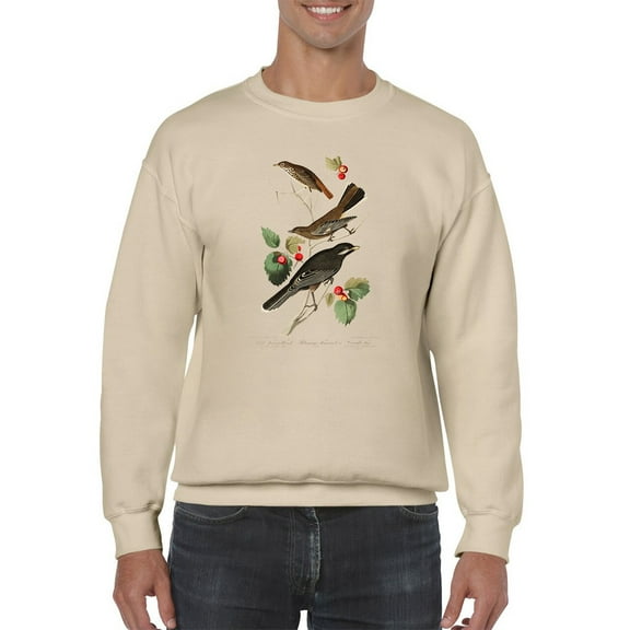 Little Tawny Thrush. Sweatshirt Men -John James Audubon Designs, Male Small