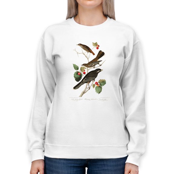 Little Tawny Thrush. Sweatshirt Women -John James Audubon Designs, Female Small