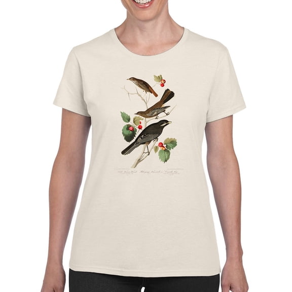 Little Tawny Thrushes T-Shirt Women -John James Audubon Designs, Female XX-Large