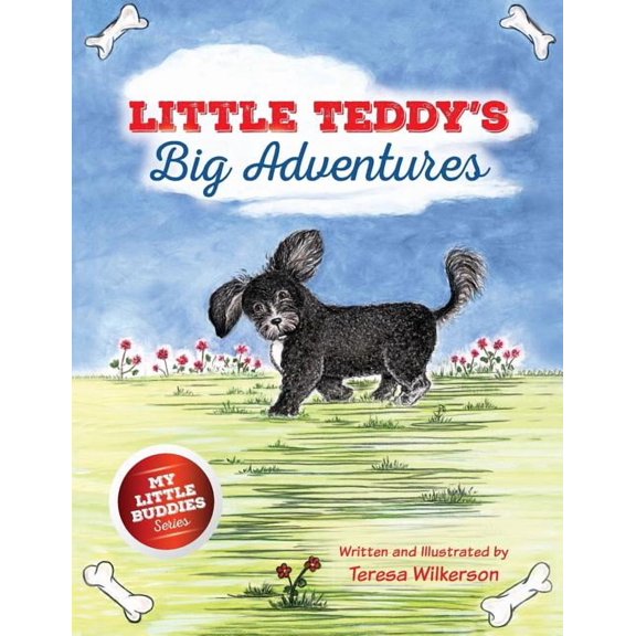 Little Teddy's Big Adventures, (Paperback)