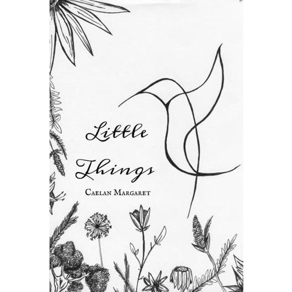 Little Things, (Paperback)