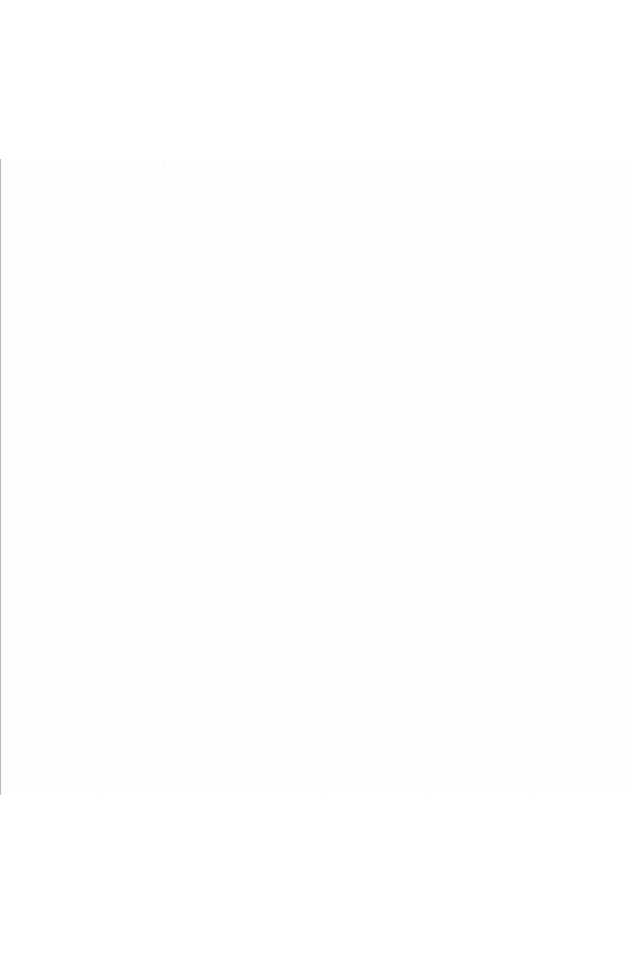 Little Toddler Girl Lace Floral Sleeveless Tulle Tutu Princess Formal Party Dress