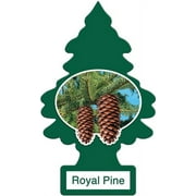Little Tree Air Freshener Royal Pine - 12 Pack