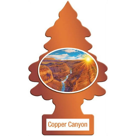 Little Tree Air Freshener Assorted Scents 24 Pack