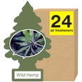 thumbnail image 1 of Little Trees Air Freshener Wild Hemp Fragance 24-Pack, 1 of 8