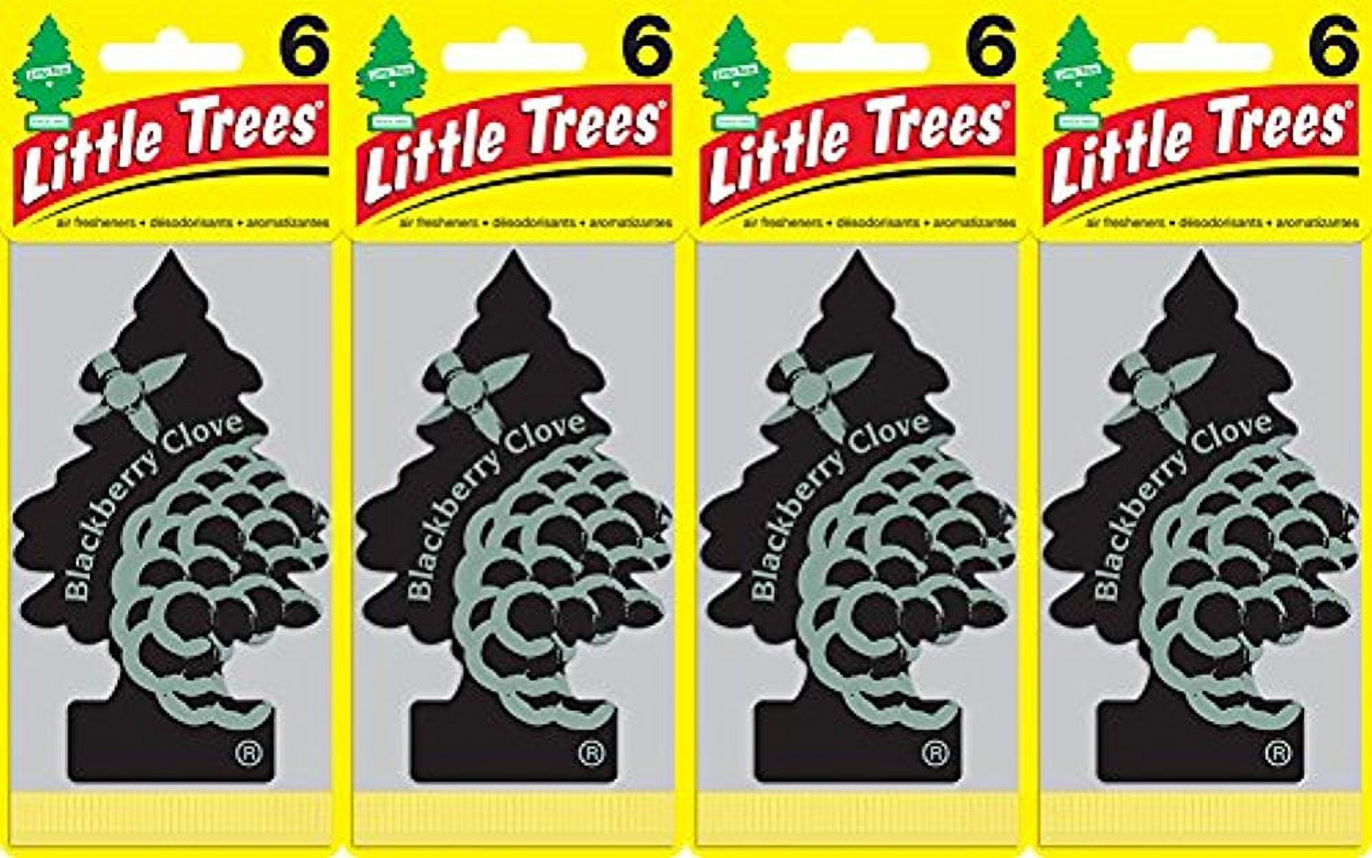 Little Trees Blackberry Clove Air Freshener, (Pack of 24)