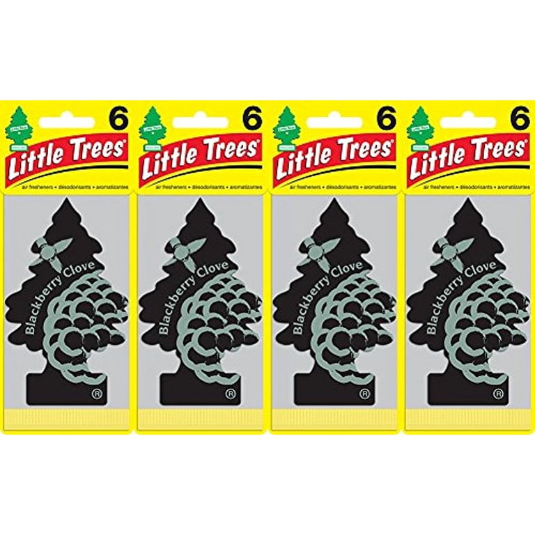 Little Trees Blackberry Clove Air Freshener Pack of 24, Car Scents 