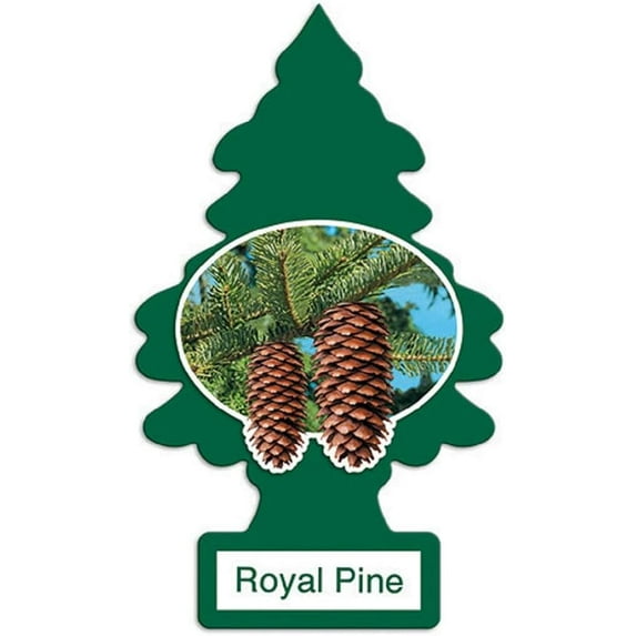 Little Trees Royal Pine Car Air Fresheners, Pack of 24