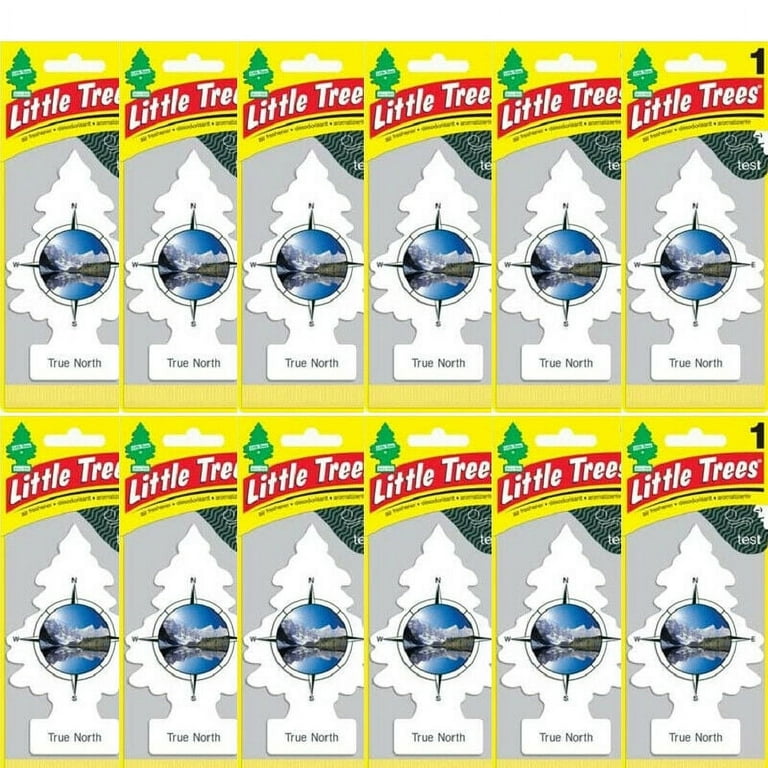 Little Trees True North Car & Home Hanging Air Fresheners, Pack of 12 