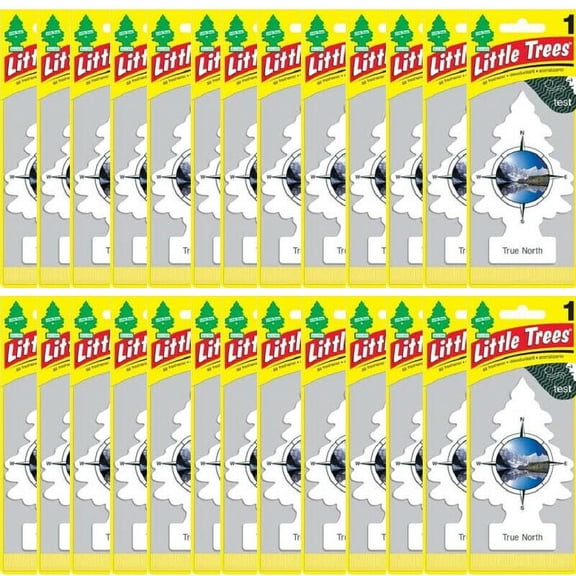 Little Trees True North Car & Home Hanging Air Fresheners, Pack of 24