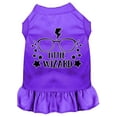 thumbnail image 1 of Mirage Pet Little Wizard Screen Print Dog Dress Purple Med, 1 of 11