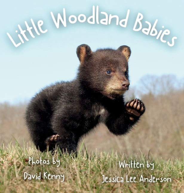 Little Woodland Babies, (Hardcover)