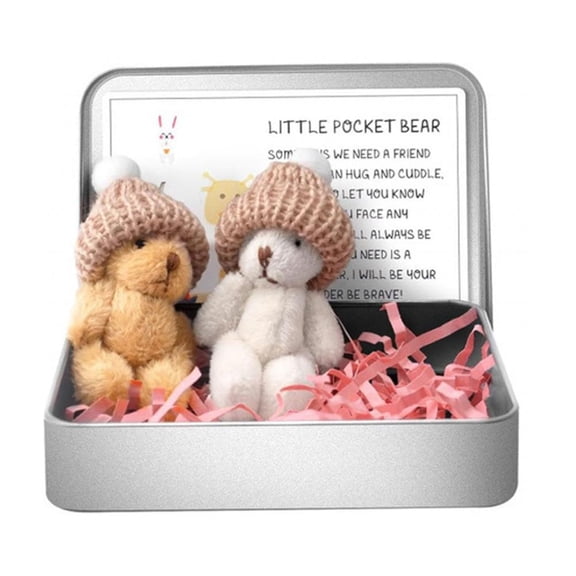 Little Worry Bear in a Box with Hat, Mini Plush Bear Set with Inspirational Card, Cute Pocket Anxiety Relief Gift for Desk Decor Birthday Party Favors