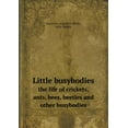 thumbnail image 1 of Little busybodies the life of crickets, ants, bees, beetles and other busybodies (Paperback), 1 of 1
