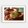 thumbnail image 1 of Little red Tomcat daydreams on a cozy blanket - Photography Cat Animal Oak Framed Wall Art Print 12 x 18 inches, 1 of 6