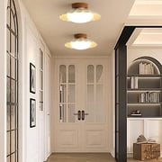 LittleGlovo Creative Iron LED Hallway Ceiling Lights
