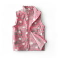 thumbnail image 1 of LittleSpring Kids' Girls' Plush Vest Jacket Sleeveless Winter Vest Fleece Zipper Cute Soft Jacket Pink Love Zebra Print 4T, 1 of 6