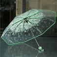 thumbnail image 1 of Littleplum Clear Cherry Blossoms Umbrella,Three Fold Umbrella Clear Cherry Sakura Folding Sunshade Rain Umbrellas,Folded Length 27cm,Umbrella with Strong Alloy Handle,for Men and Women,Green, 1 of 8