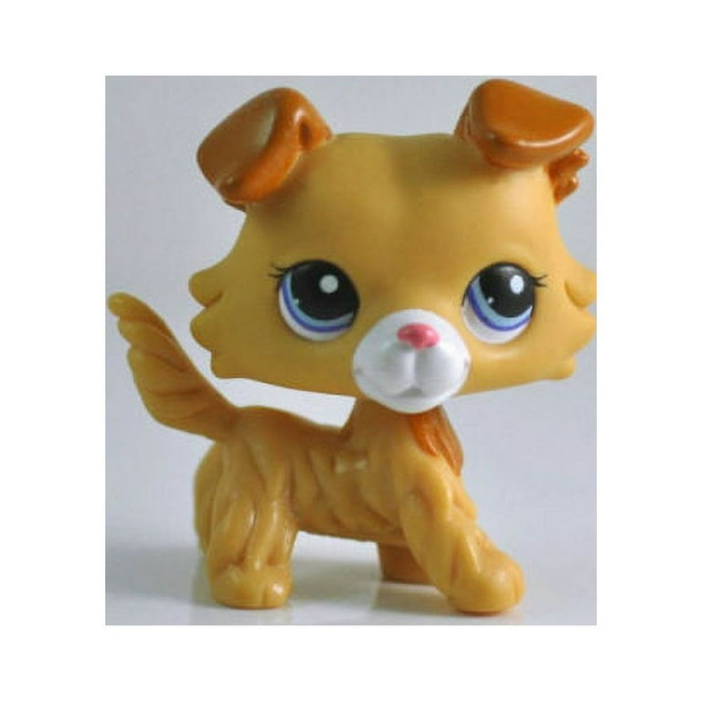 Lps rainbow collie online