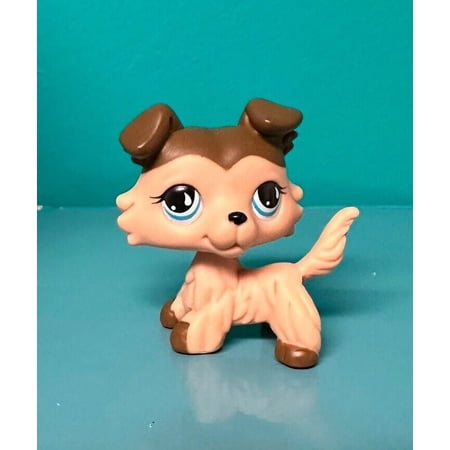 Littlest Pet Shop RARE LPS #893 Figure Tan Collie Dog Puppy Teardrop Eyes New