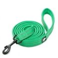 thumbnail image 1 of LituoTools Nylon Dog Leash with Comfortable Padded Handle Heavy Duty Training Durable Pet Leash for Small Medium Large Dogs (Grass green,S), 1 of 7