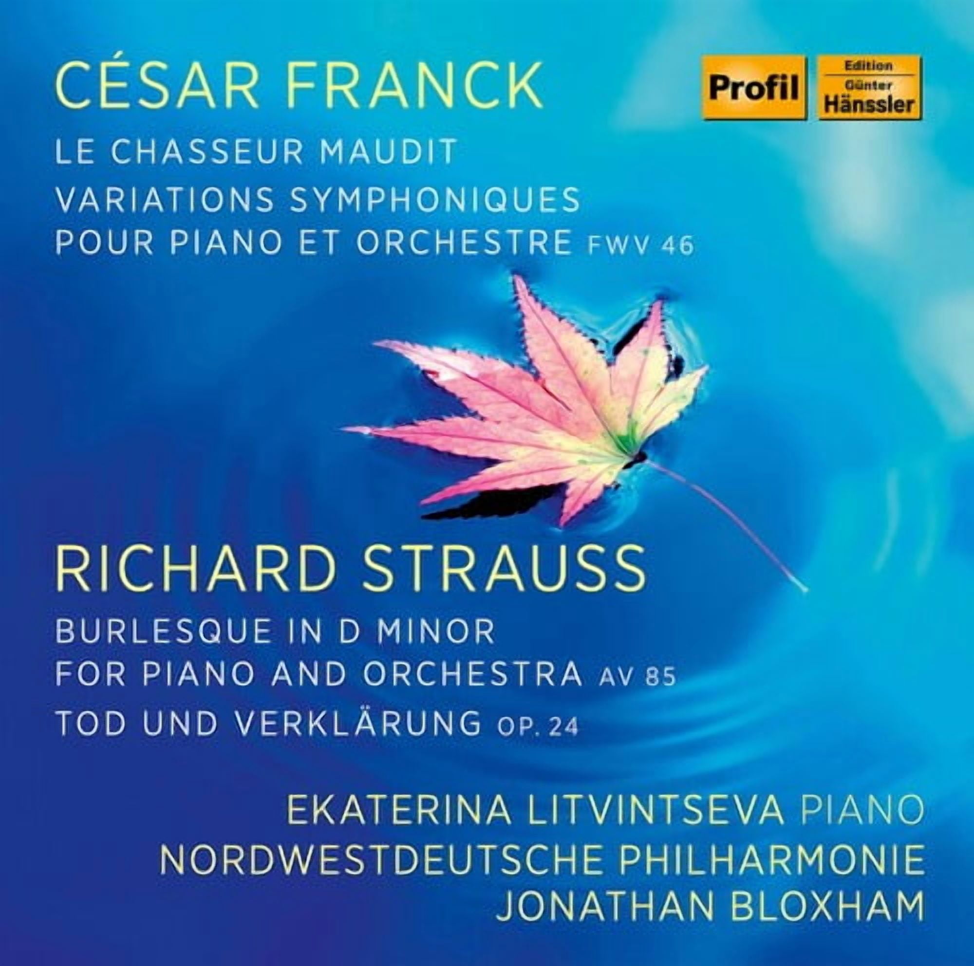 Litvintseva Nordwestdeutsche Philharmonie Bloxham - Ekaterina Litvintseva Plays - Music & Performance - CD