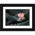 thumbnail image 1 of Liu, Betty 14x11 Black Ornate Wood Framed with Double Matting Museum Art Print Titled - Lotus Flower, 1 of 4